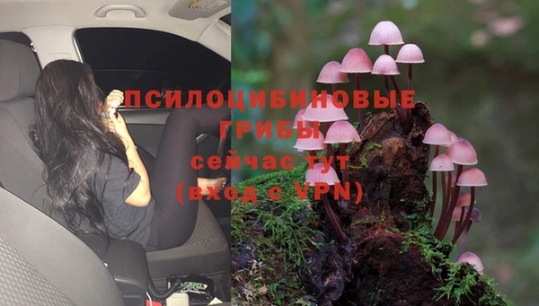 круглые Алексин
