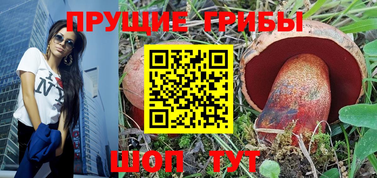 Галлюциногенные грибы Psilocybine cubensis Боровичи