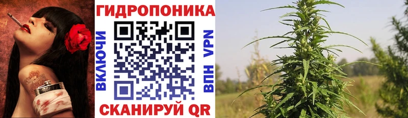 закладки  Боровичи  МАРИХУАНА OG Kush 